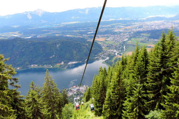 10-Campanula-camping-Gerlitzen