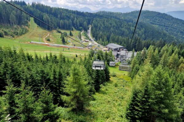 12-Campanula-camping-Gerlitzen