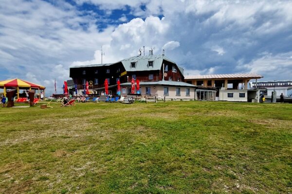 13-Campanula-camping-Gerlitzen