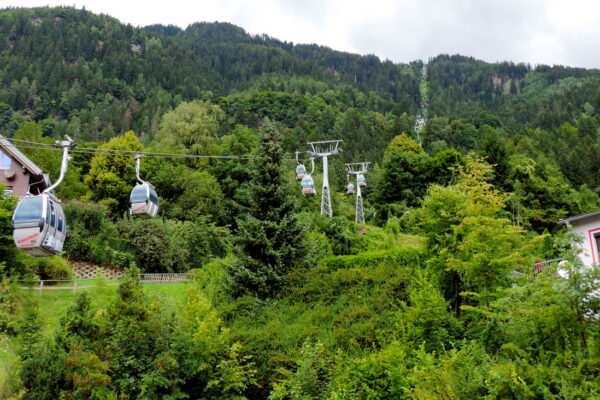8-Campanula-camping-Gerlitzen